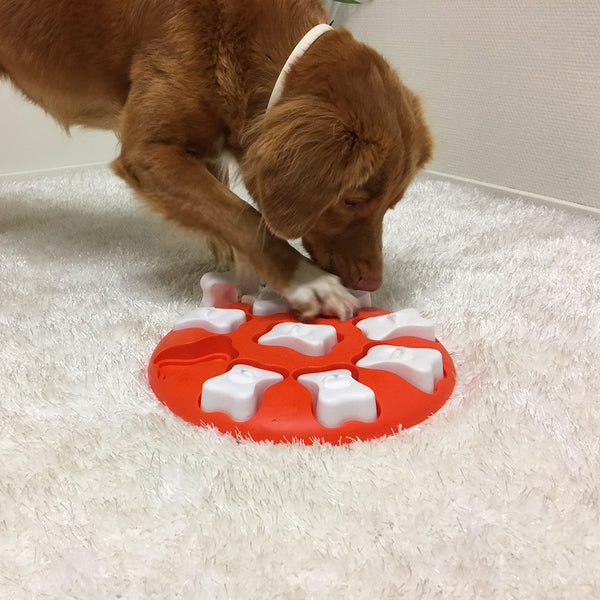 Nina Ottosson Dog Tornado Puzzle Game
