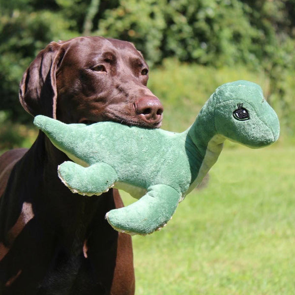 Tall Tails Nessie Dog Toy