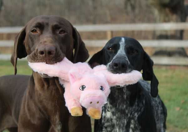 Tall Tails Plush Flying Pig Dog Toy