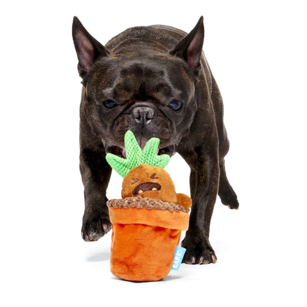 BARK - Mandrake™ Plush Tug + Multi-Part Dog Toy