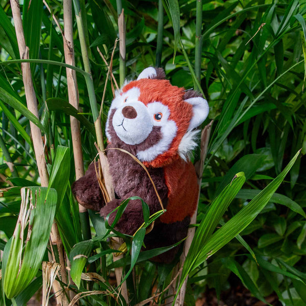Ancol Made From Rosa Red Panda Toy