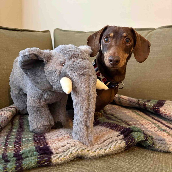 Ancol Made From Edgar Elephant Toy