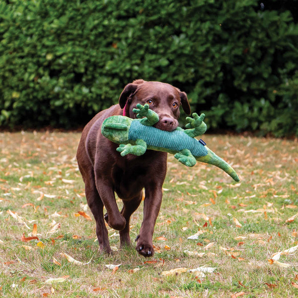 Ancol Cuddle Lizard Toy
