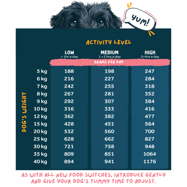 Wilsons Pet Food - Beef Fresh Dog Food