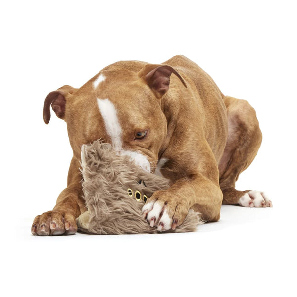 BARK - Monster Book of Monsters™ Plush Dog Toy