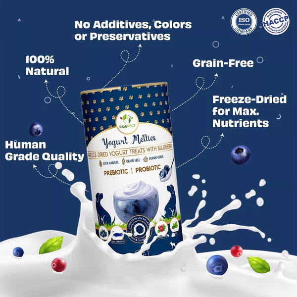 Pawfect Yoghurt Melties Prebiotic and Probiotic Treats - Blueberry