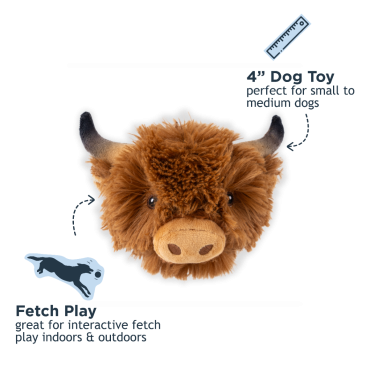 Tall Tails Dog 2 In 1 Highland Cow Head Dog Toy