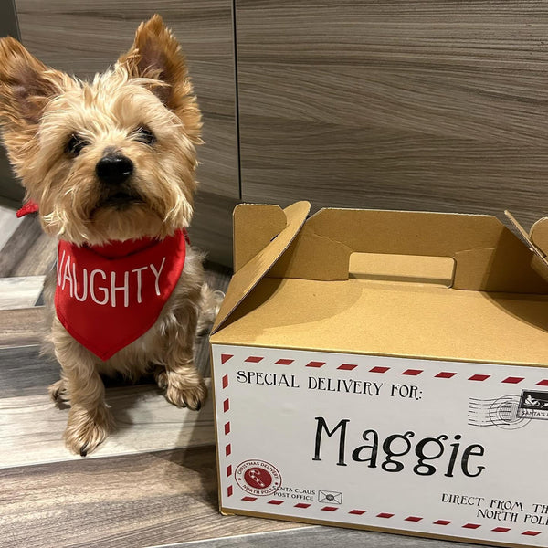 Wags & Whiskers Personalised Christmas Eve Box