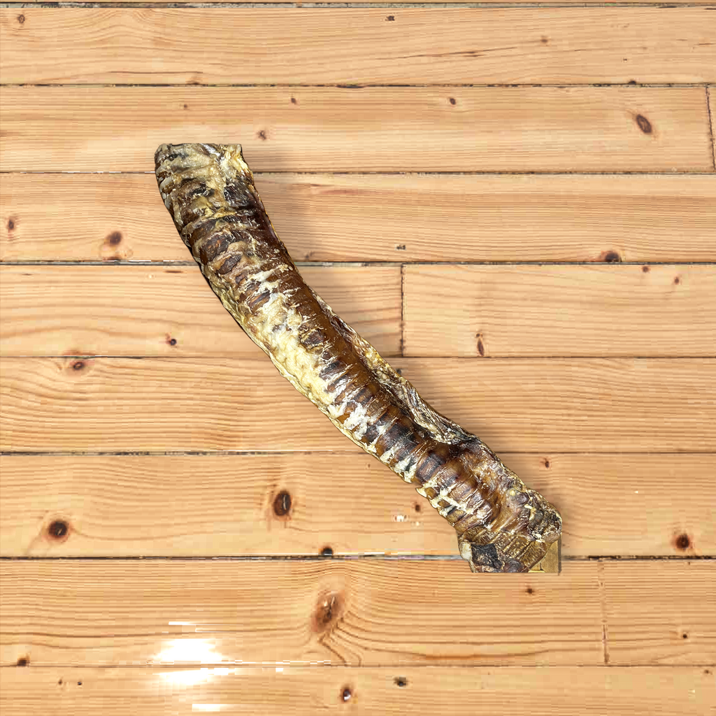 Air Dried Rabbit Ear