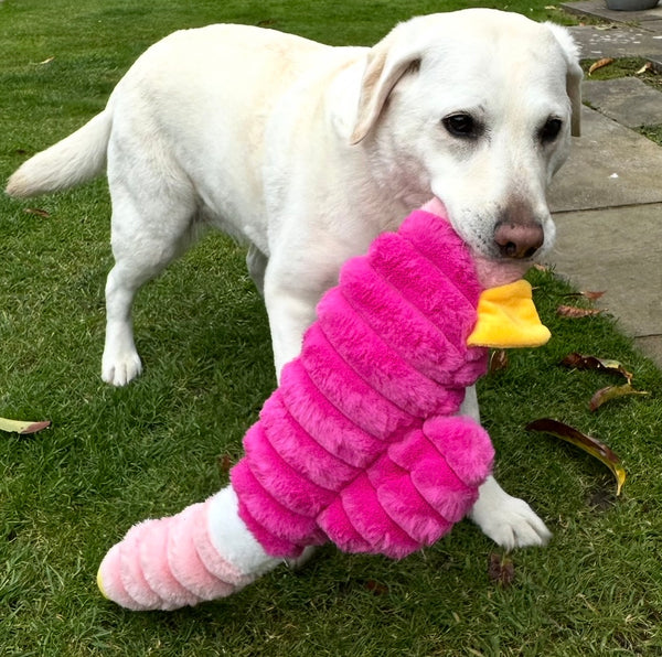 Hem & Boo Giant Plush Duck Dog Toy – Extra Large Dog Toy