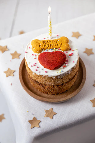 Life of Riley Grain Free Dog Birthday Cake