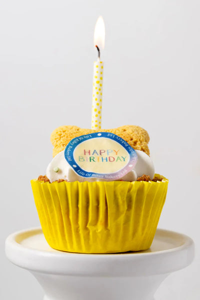 Life of Riley Grain Free Dog Birthday Pupcake
