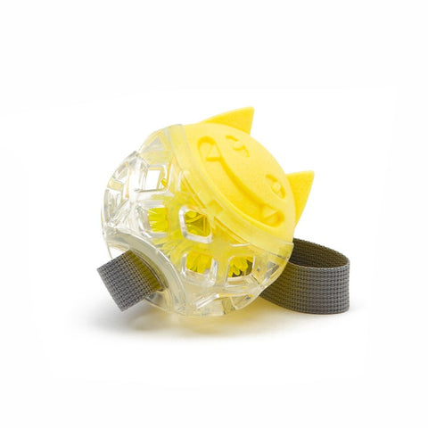 Great & Small Frubba Flash Throw Dog Toy