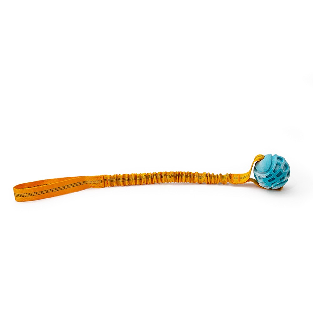 Great & Small Frubba Play & Throw Long Dog Toy