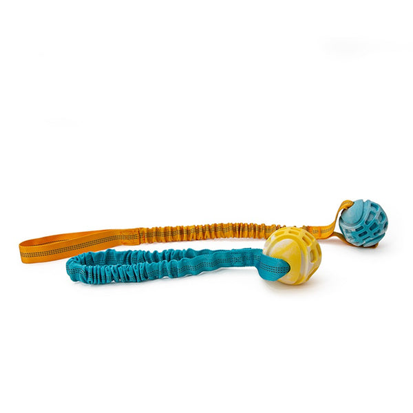 Great & Small Frubba Play & Throw Long Dog Toy