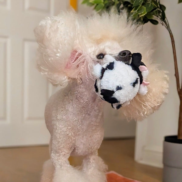 Great & Small Spring Farm Bouncy Cow Dog Toy