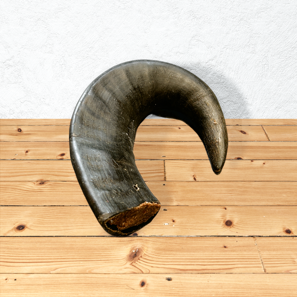 Meat Filled Buffalo Horn