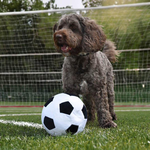 Great & Small Go Team! Football Dog Toy