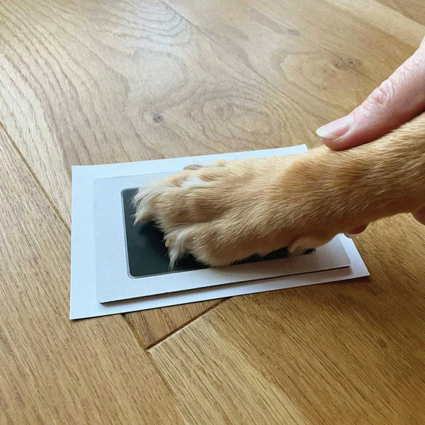 Oh So Precious Pet Paw Print Ink Kit