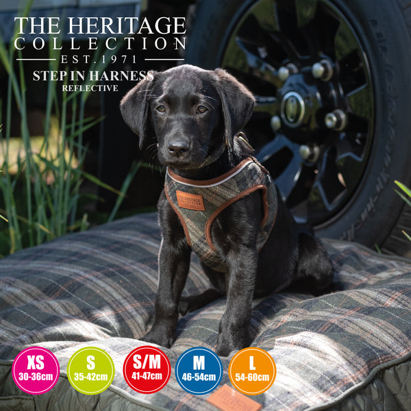 Ancol Herringbone Step in Harness