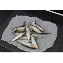 Nutriment Whole Frozen Sprats